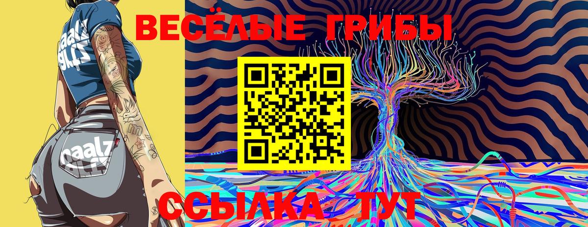 Южно-Сахалинск  цены наркотик  Вход с VPN  Галлюциногенные грибы Magic Shrooms 