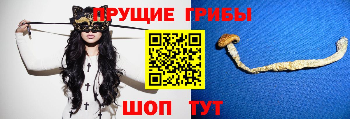 Галлюциногенные грибы прущие грибы Южно-Сахалинск